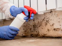 Best Forensic Mold Investigation in Ben Avon, PA